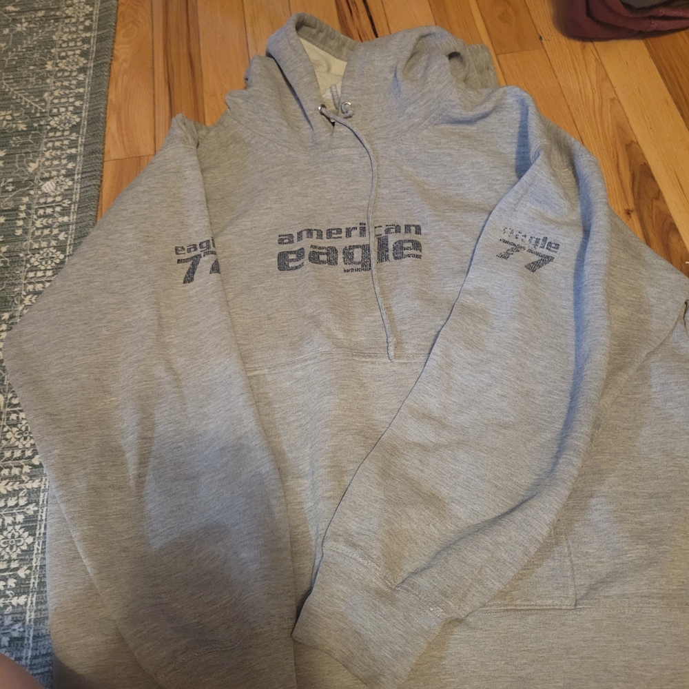 American Eagle Outfitters Gray Sweatshirt